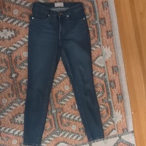 Everlane Dark Blue Skinny Jeans
